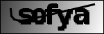 Text der identifiziert werden soll